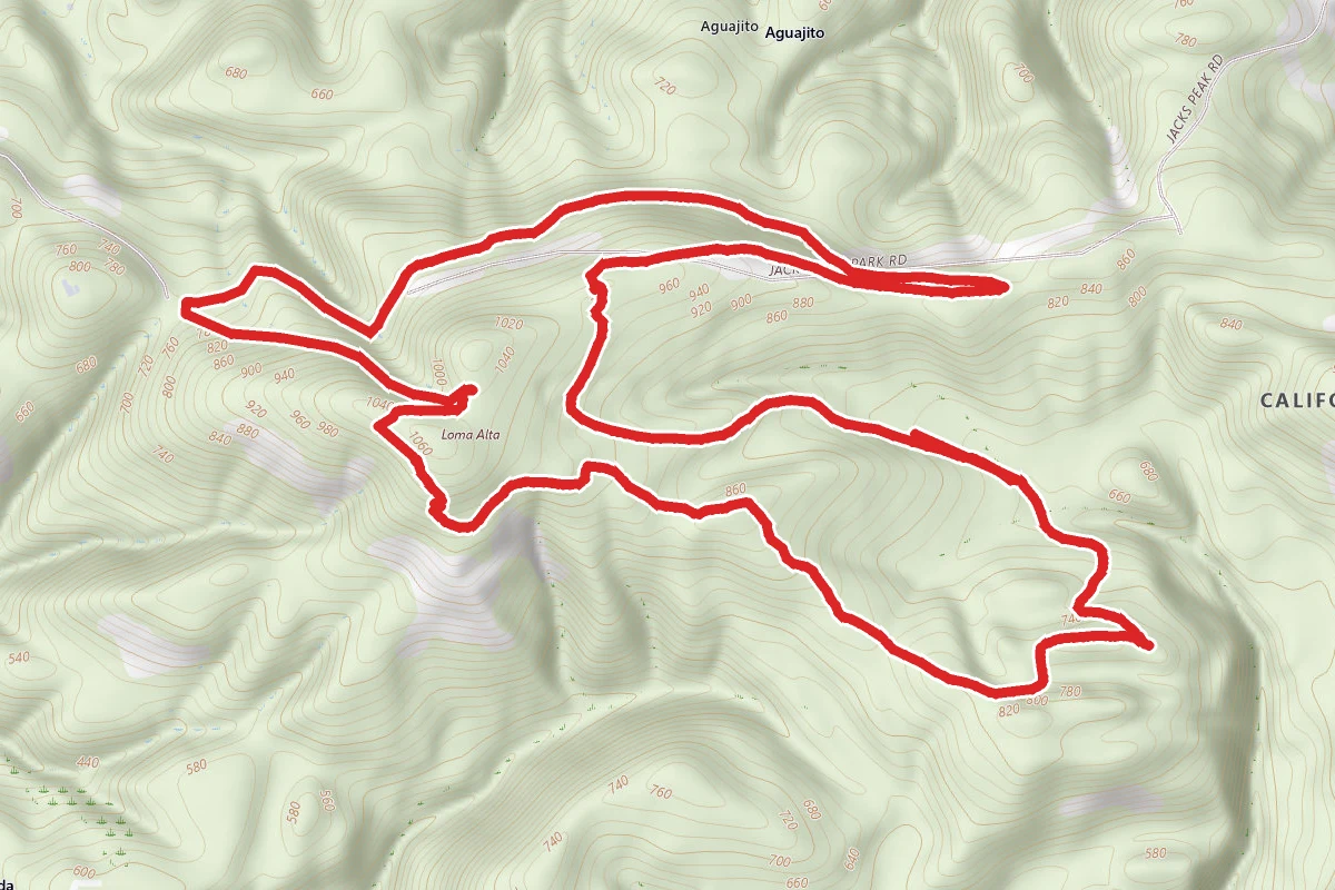 Pine Trail to Coffeeberry Trail to Rhus Trail Loop