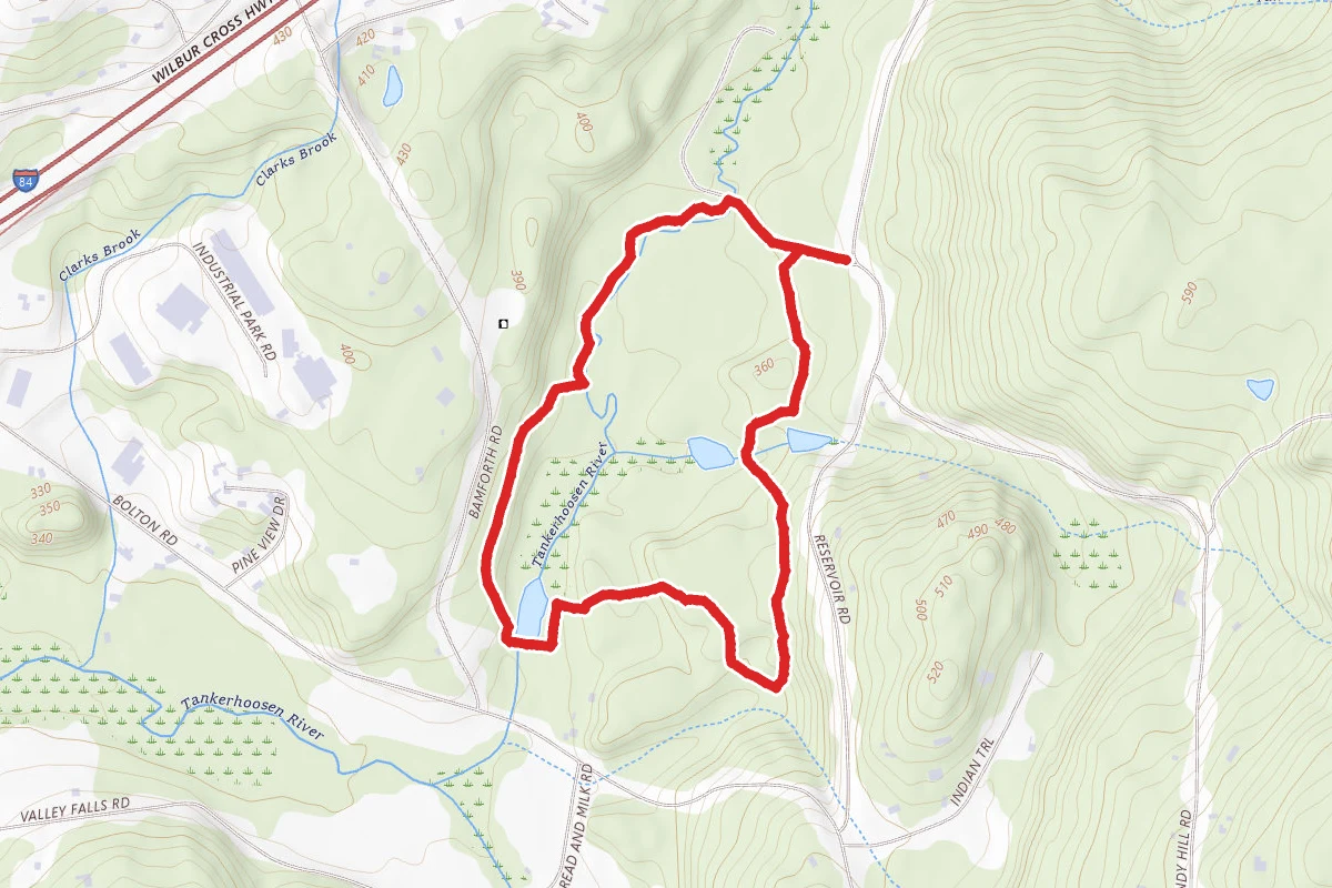 Belding Blue Trail to Yellow Trail Loop