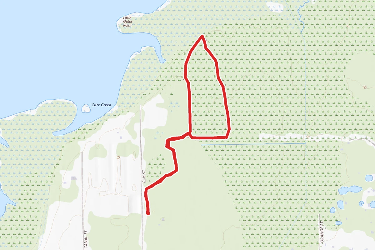 Lake Jesup Observation Platform Trail