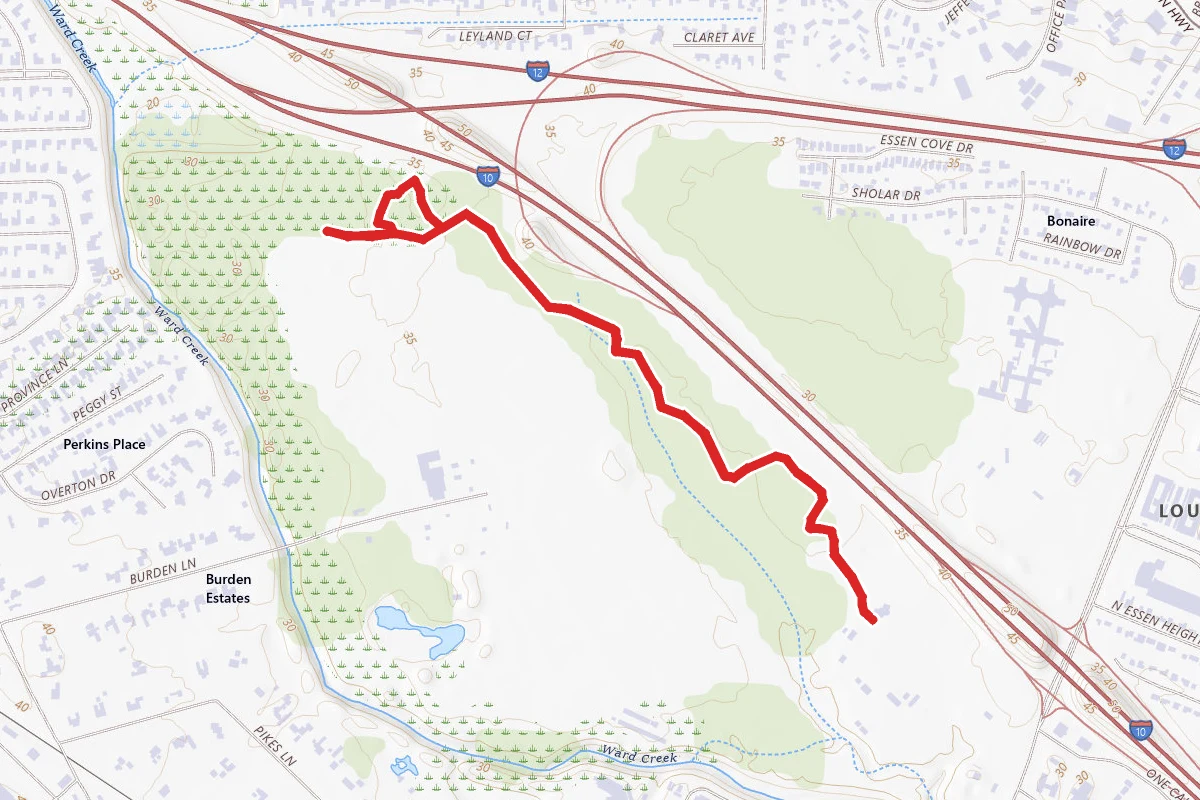 Black Swamp Trail