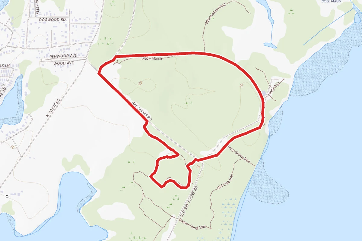 Black Marsh Trail Loop