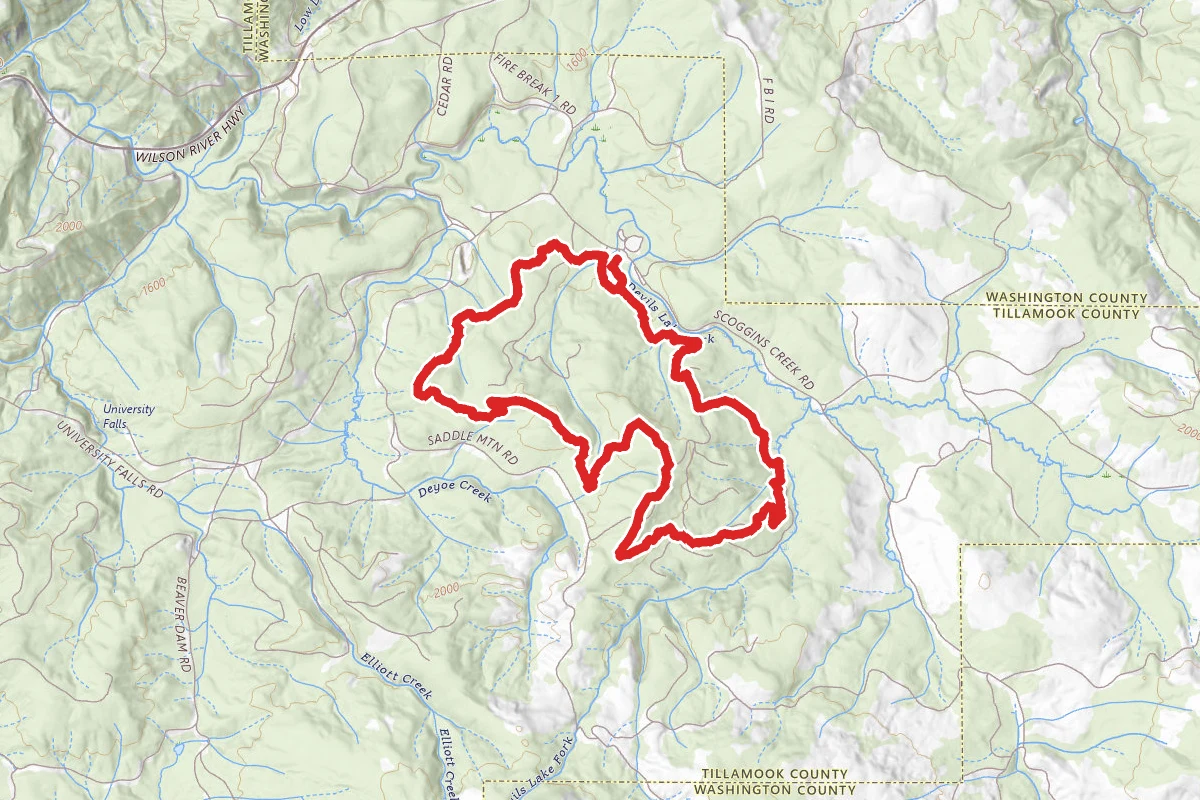 Browns Camp Area Loop Trail
