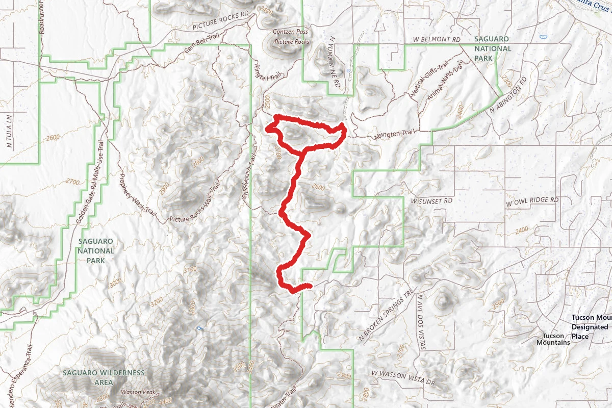 Cactus Canyon and Gila Monster Loop via Thunderbird Trail