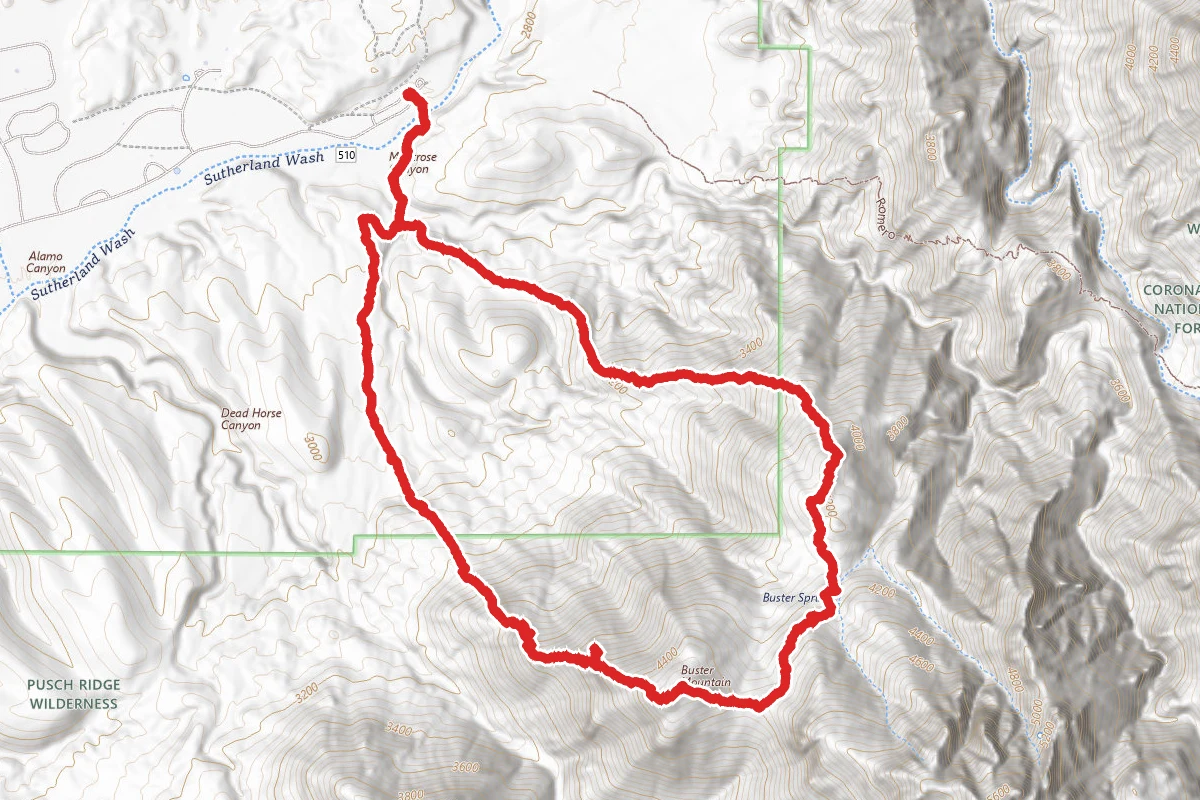 Buster Mountain via Birding Trail