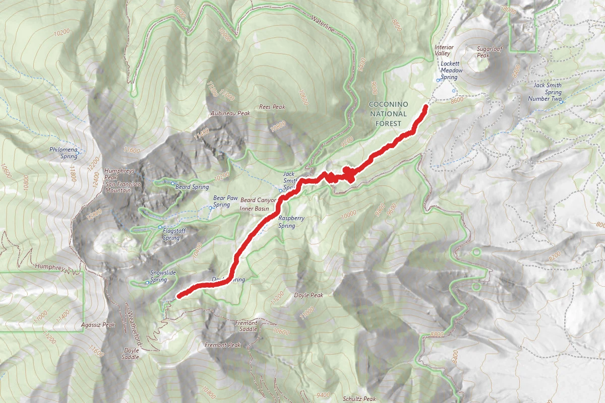 Doyle Spring via Inner Basin Trail