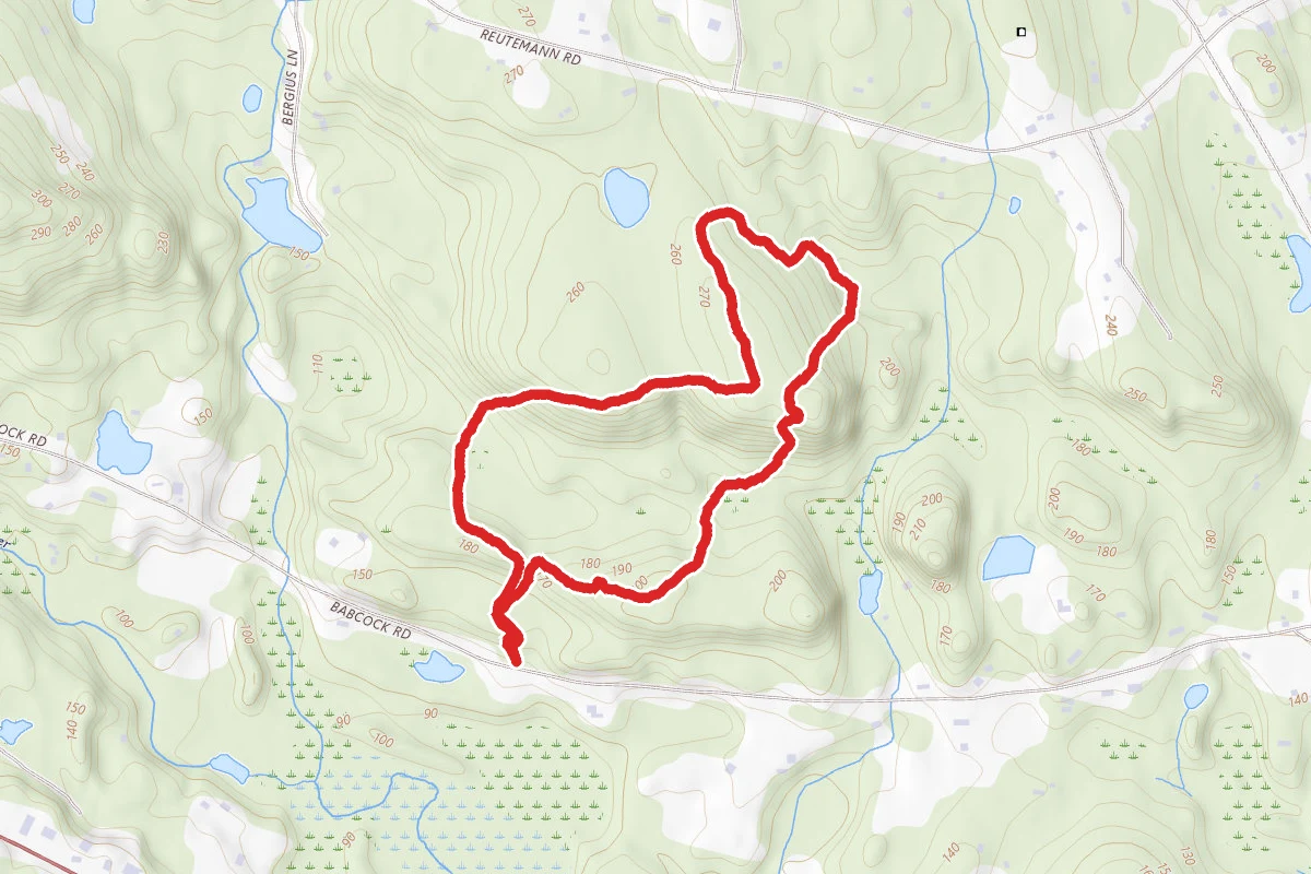 Avalonia Babcock Ridge Extended Loop