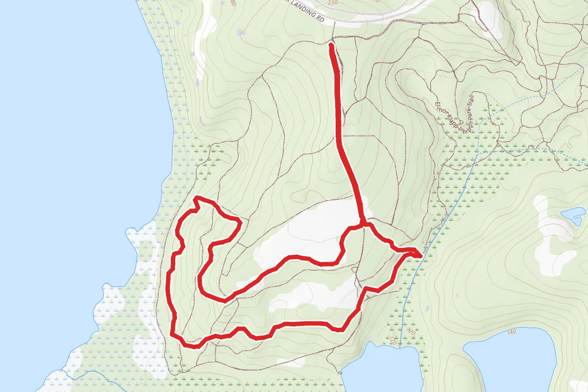 Oak Hammock Loop Trail