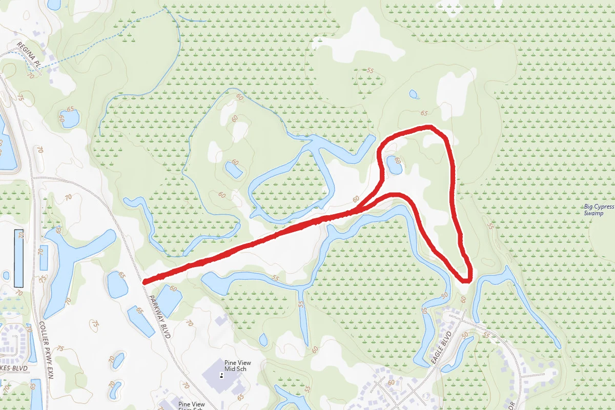 Cypress Creek Preserve Lower Loop from Parkway Boulevard