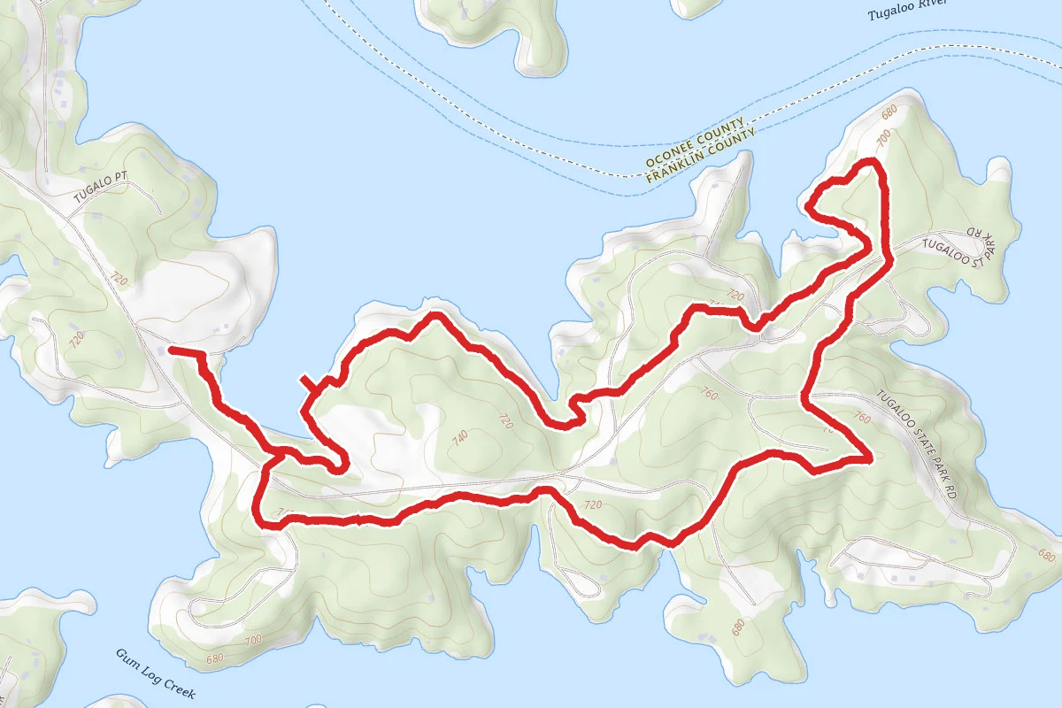 Sassafras Loop
