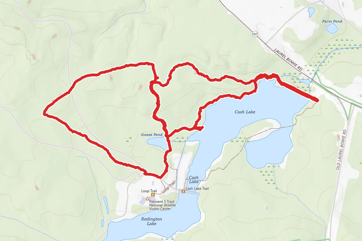 Patuxent Wildlife Refuge Loop Trail