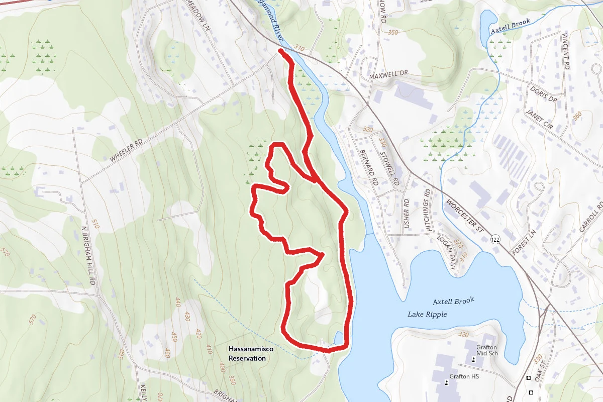 Gummere Woods Loop