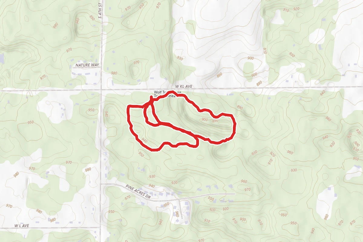 Wolf Tree Nature Trail