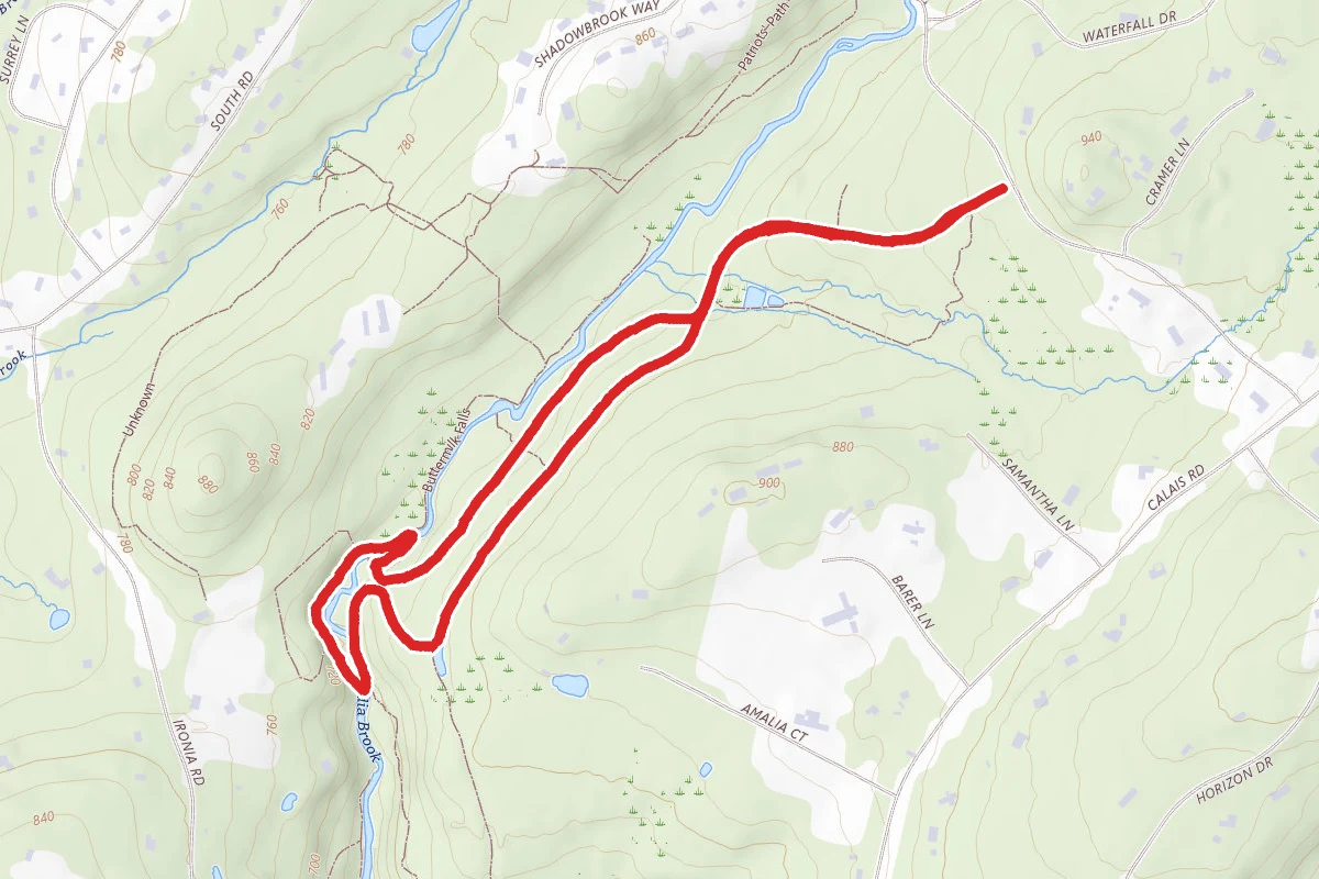 Buttermilk Falls and Frog Pond Loop