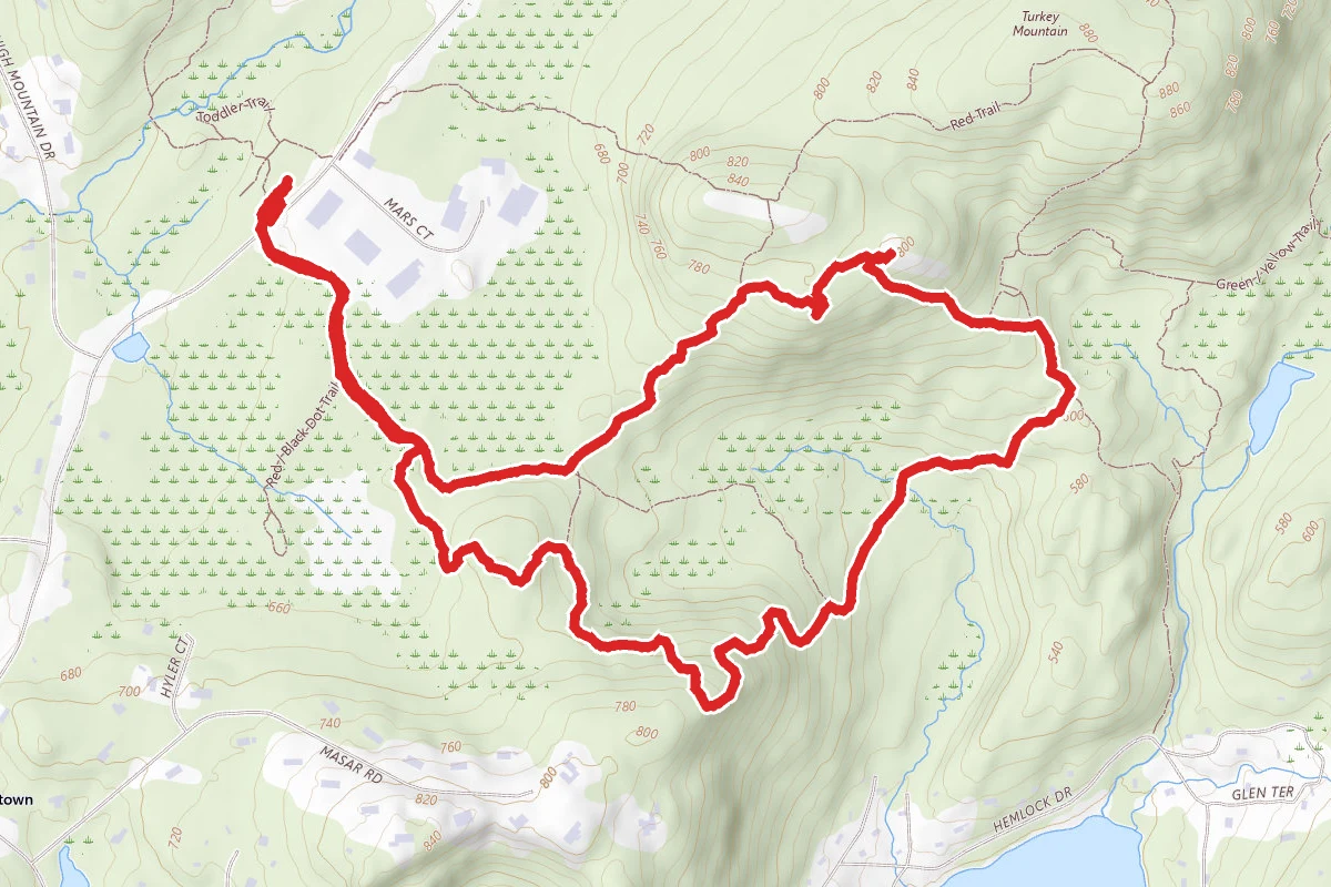 Turkey Mountain Blue and Yellow Trail Loop