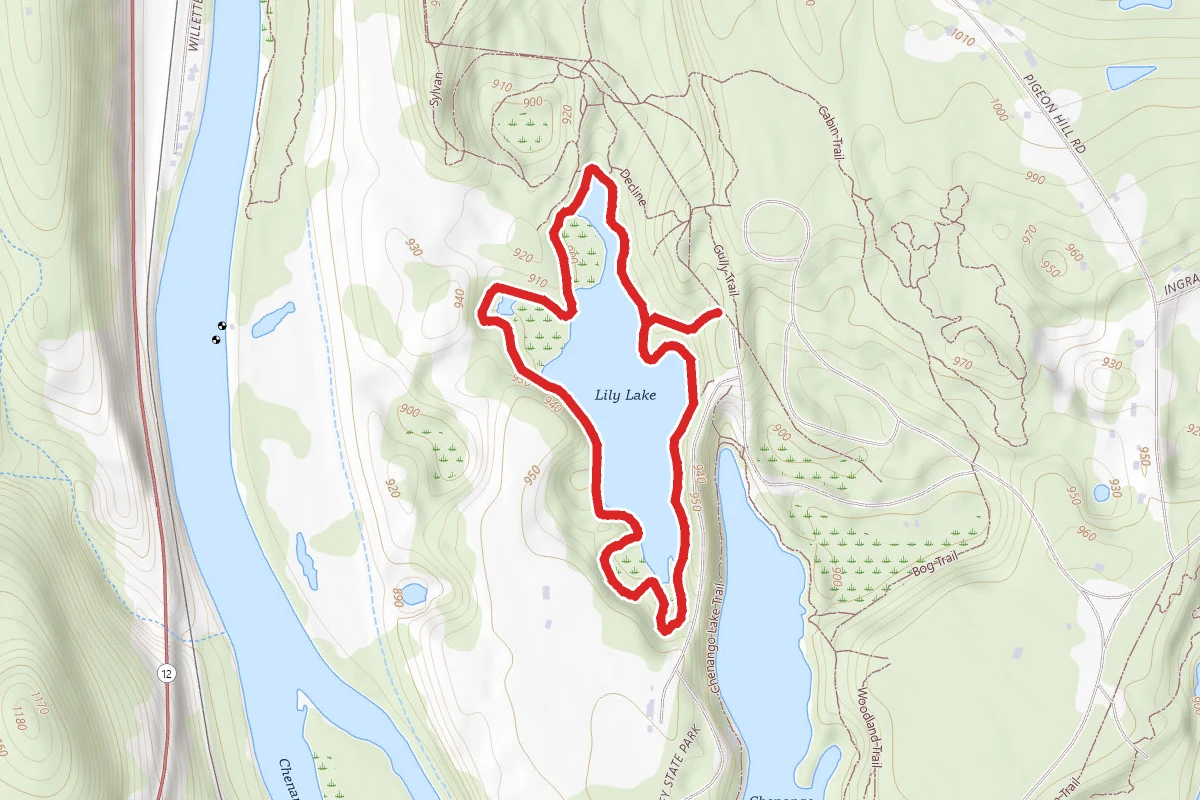 Lily Lake Trail