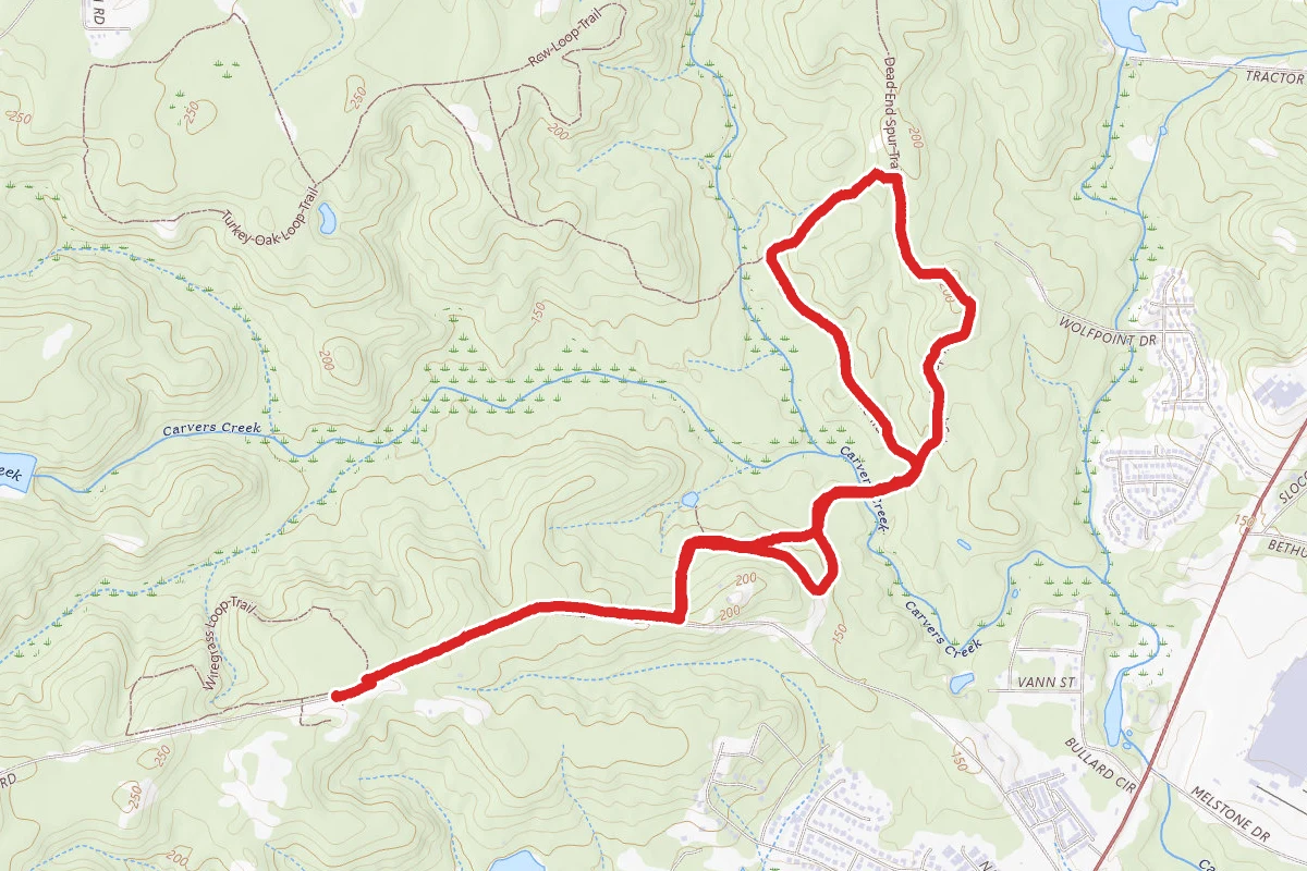 Longleaf Pine and Fox Squirrel Loop