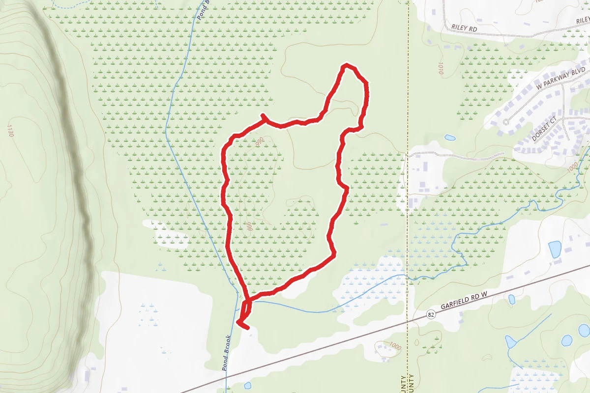 Buttonbush Trail