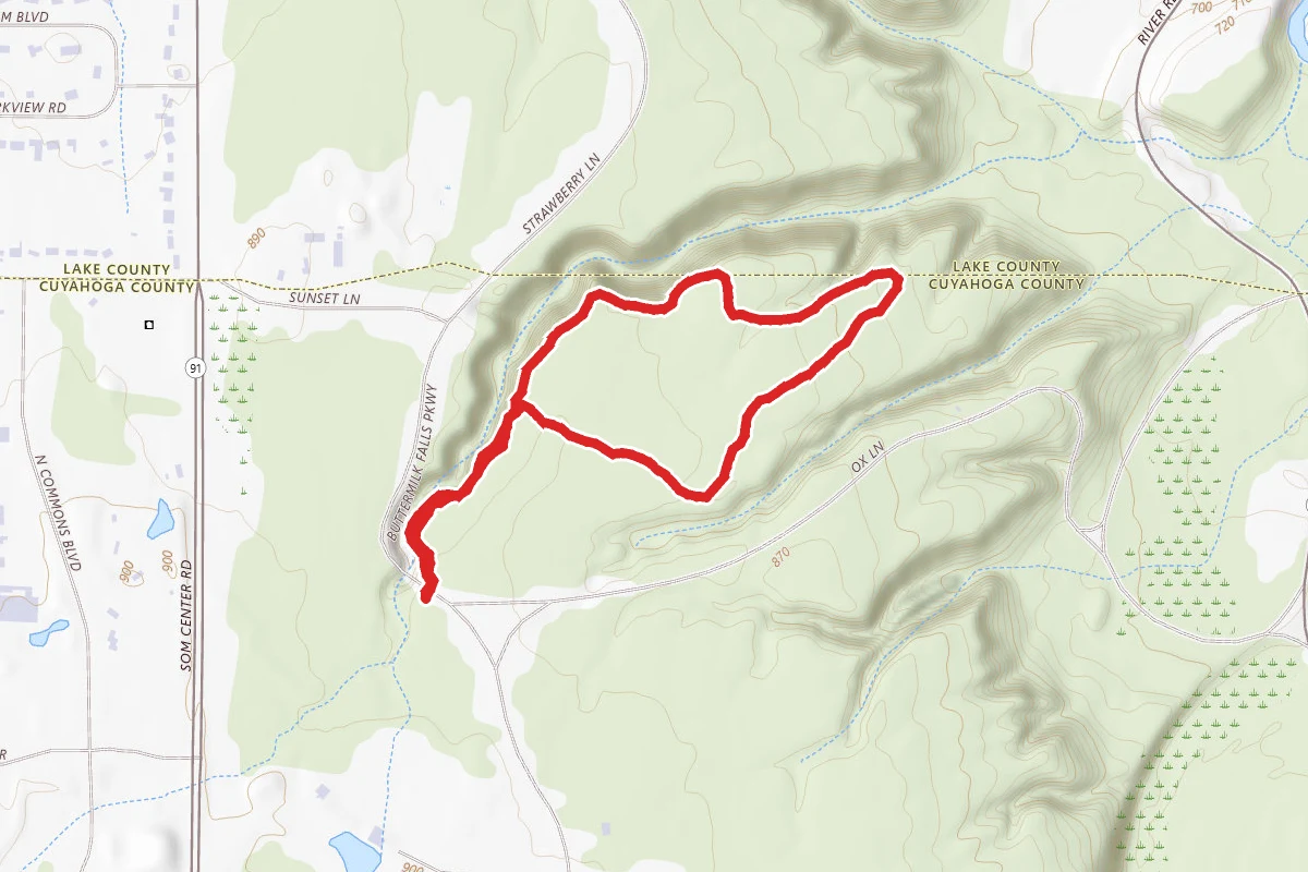 Hickory Fox Trail