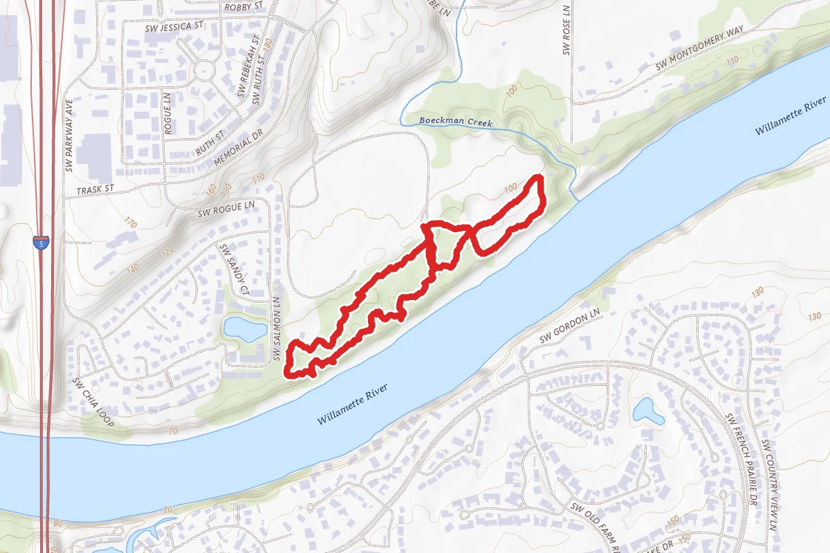 Memorial Park Forest Trail