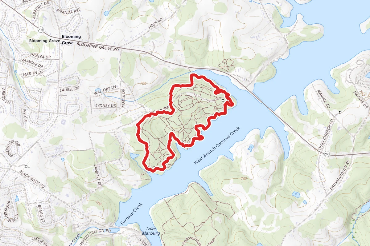 Codorus State Park Mountain Bike Area