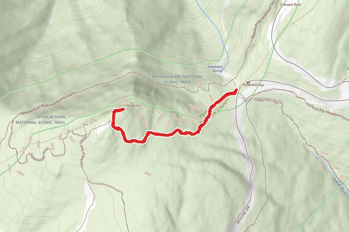 Hawksbill Summit Trail