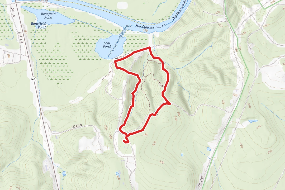 Caddo Lake State Park Trails