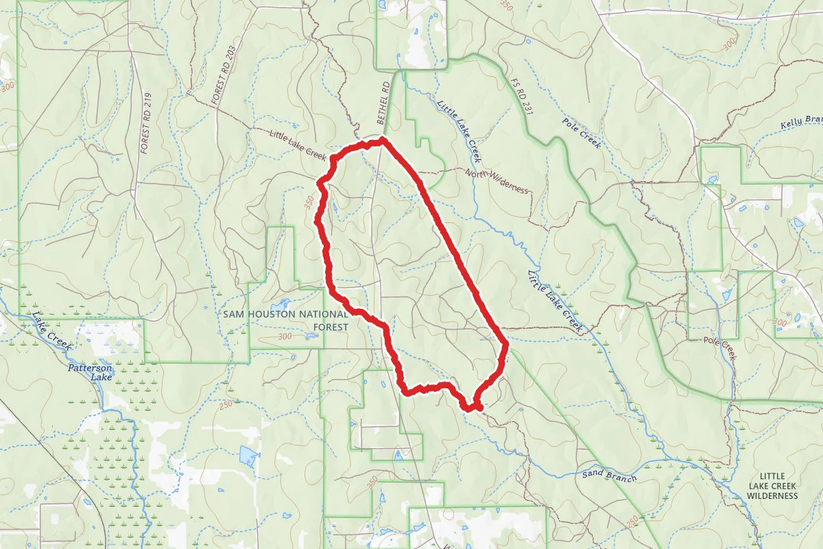 West Fork Trail to Lone Star Hiking Trail Loop