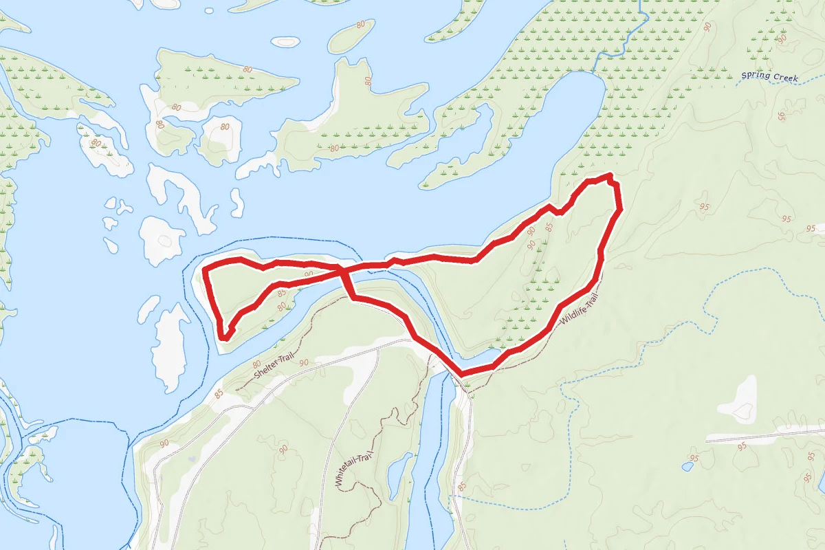 Martin Dies Jr. State Park Loop