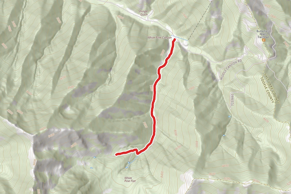 White Pine Canyon Trail