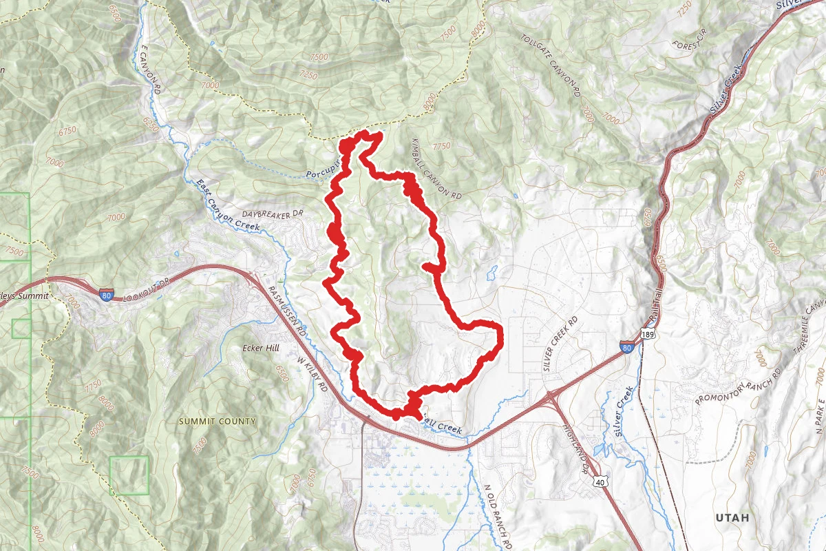 Spring Creek - Flying Dog Trail