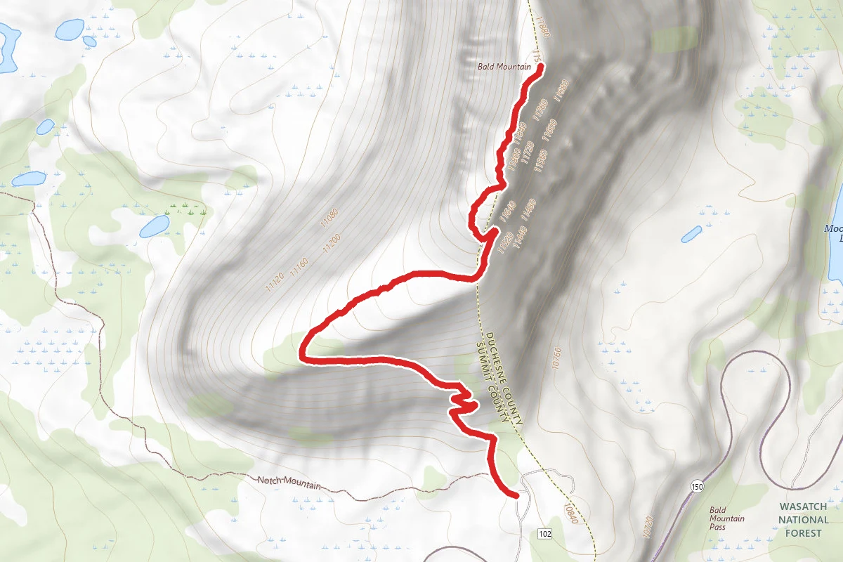 Bald Mountain Trail