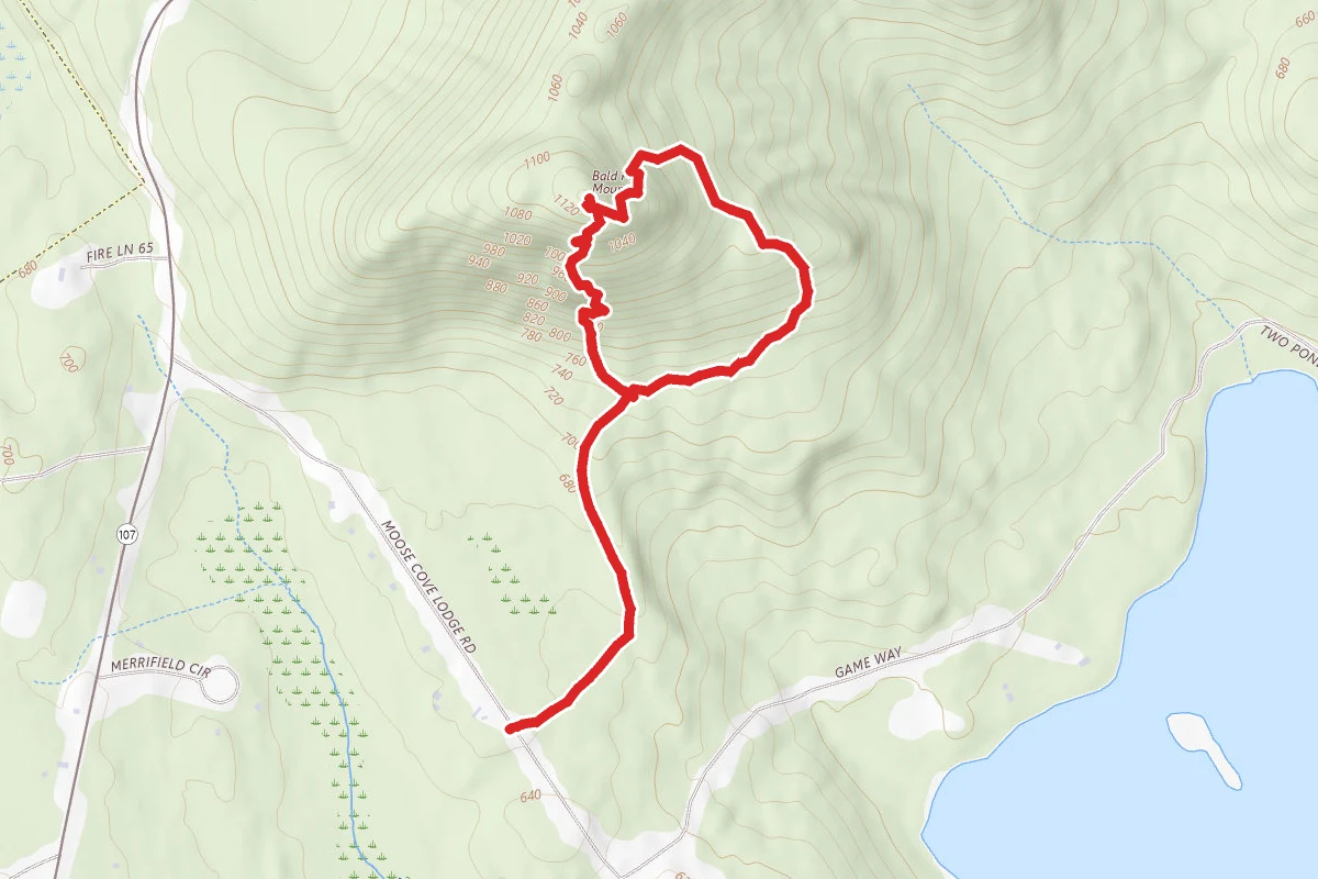 Bald Pate Mountain via Micah Trail