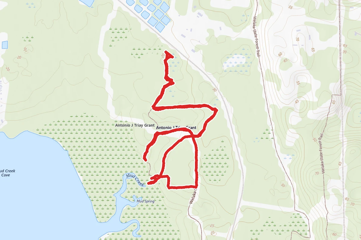 Mud Springs Trail