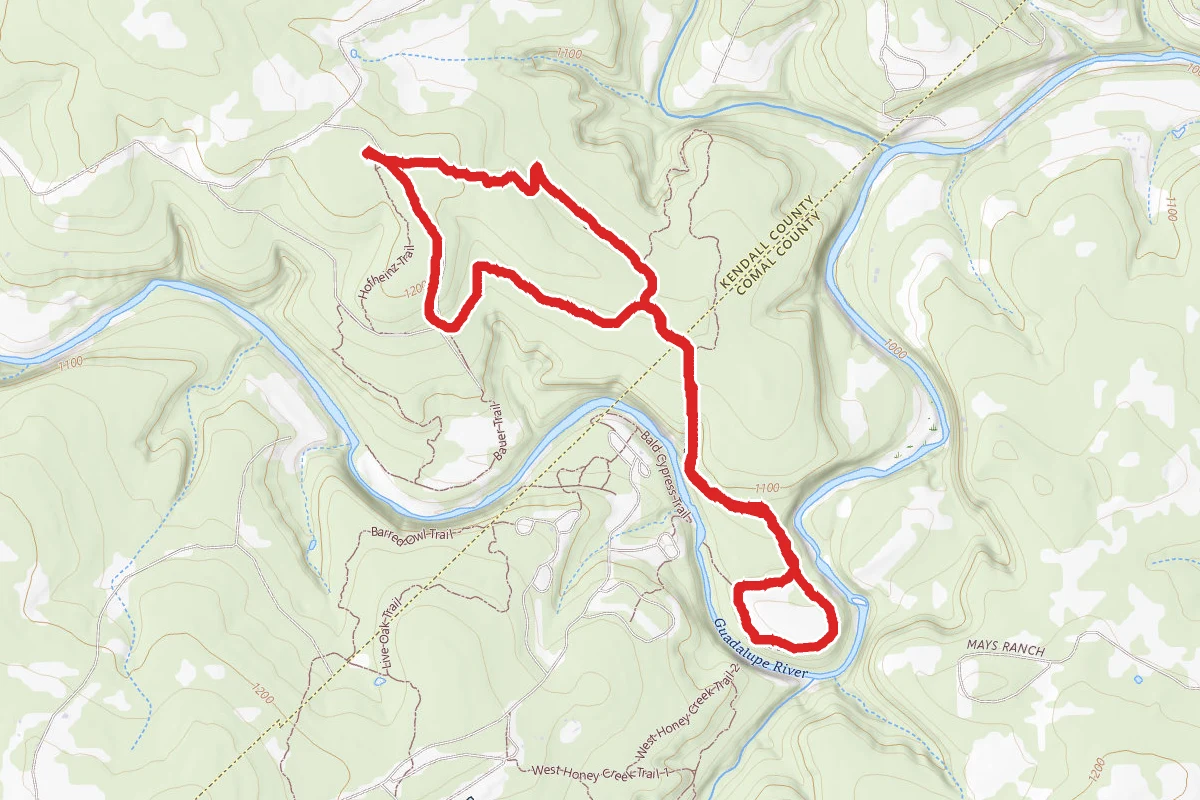Bamberger, Golden-cheeked Warbler, Little Bluestem Loop