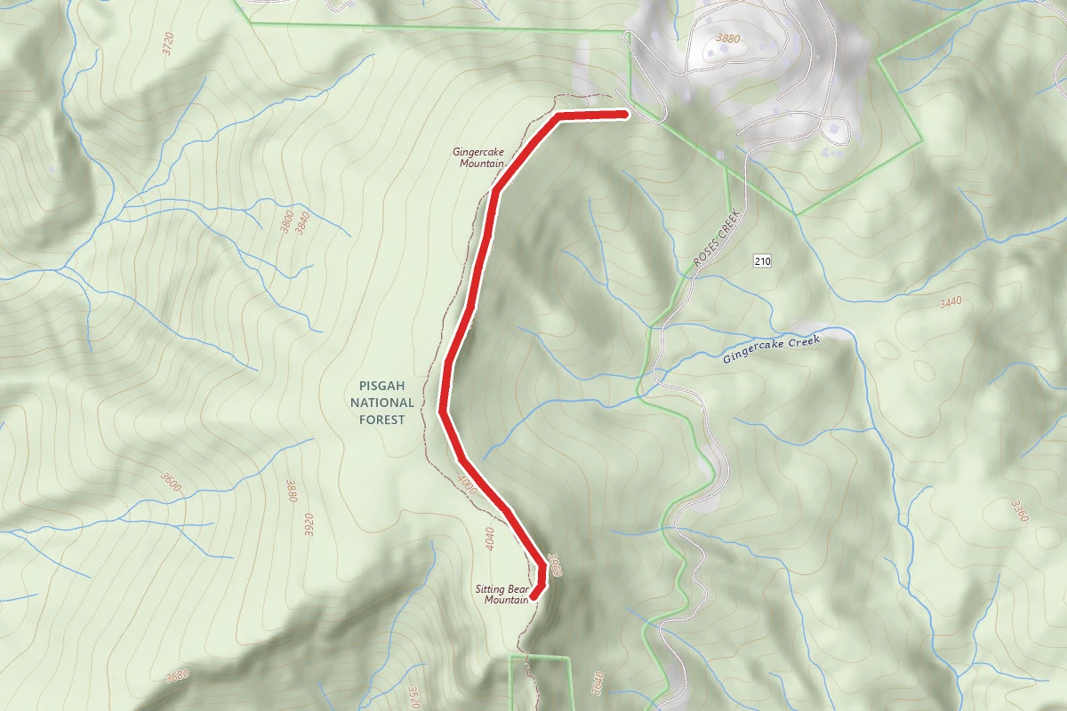 Jonas Ridge Trail