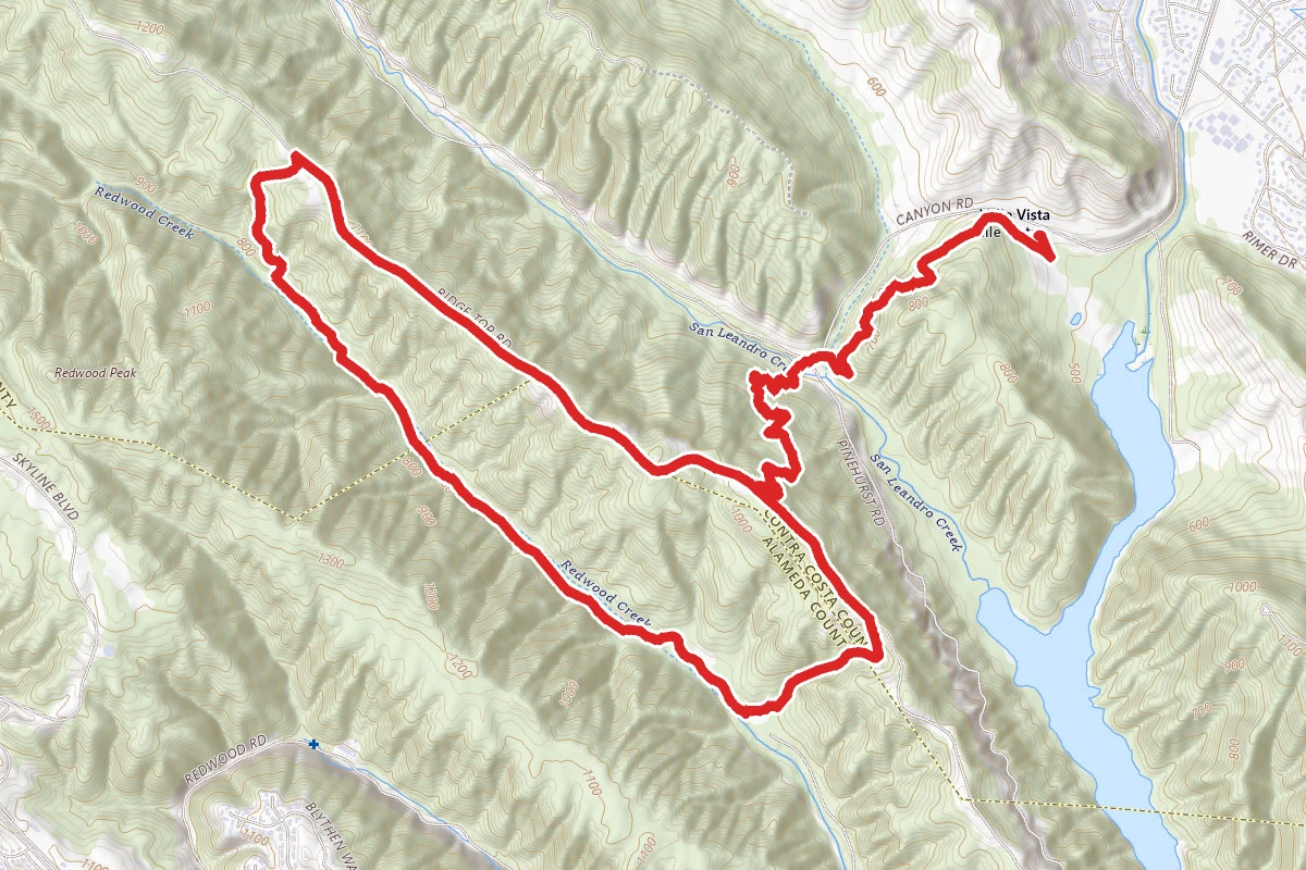 Redwood to East Ridge to Stream Trail Loop