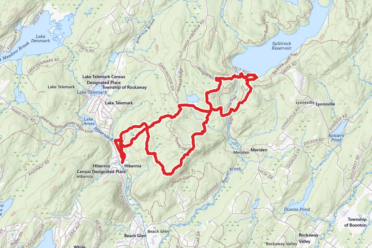 Four Birds Trail to Hibernia Brook Trail Loop
