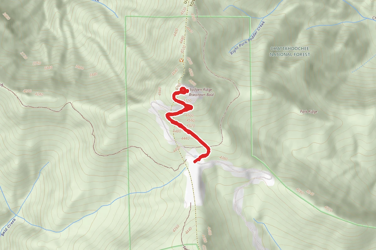 Brasstown Bald Trail