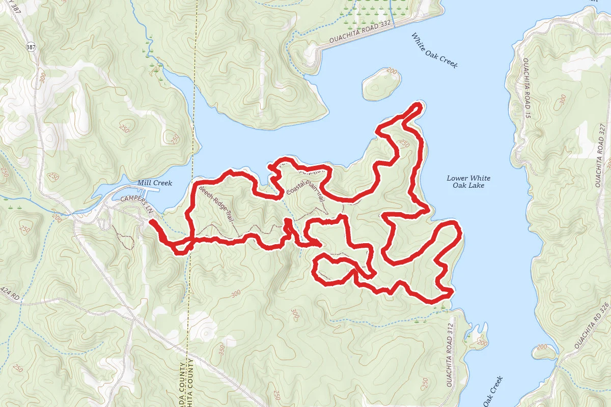 Fern Hollow Trail