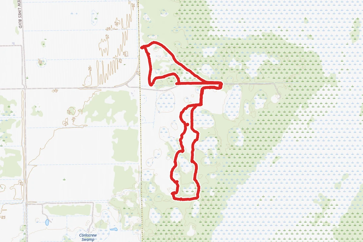 Caracara Prairie Preserve Loop