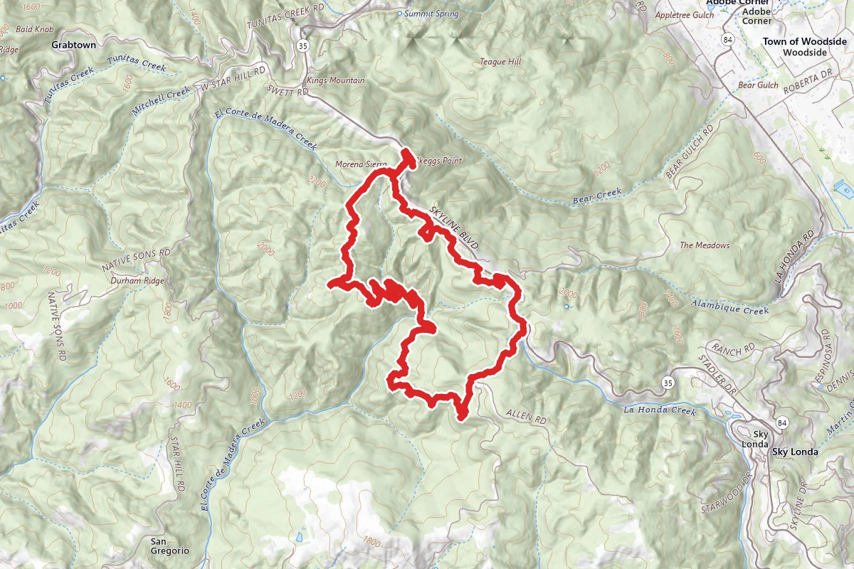 Manzanita and Gordon Mills Loop