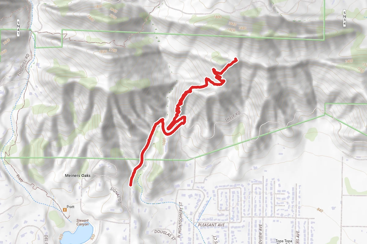 Luci’s Trail