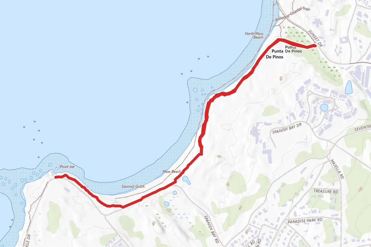 Spanish Bay Trail