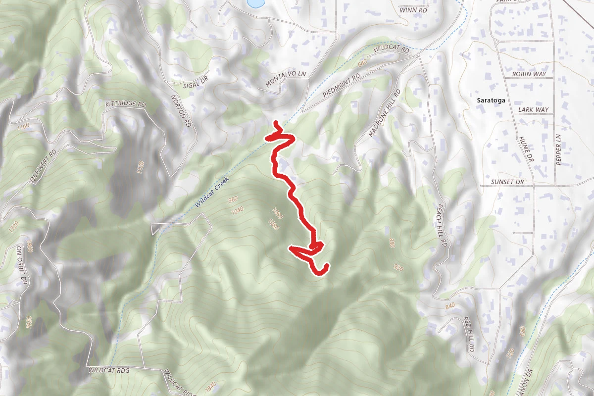 Redwood Trail to Lookout Point