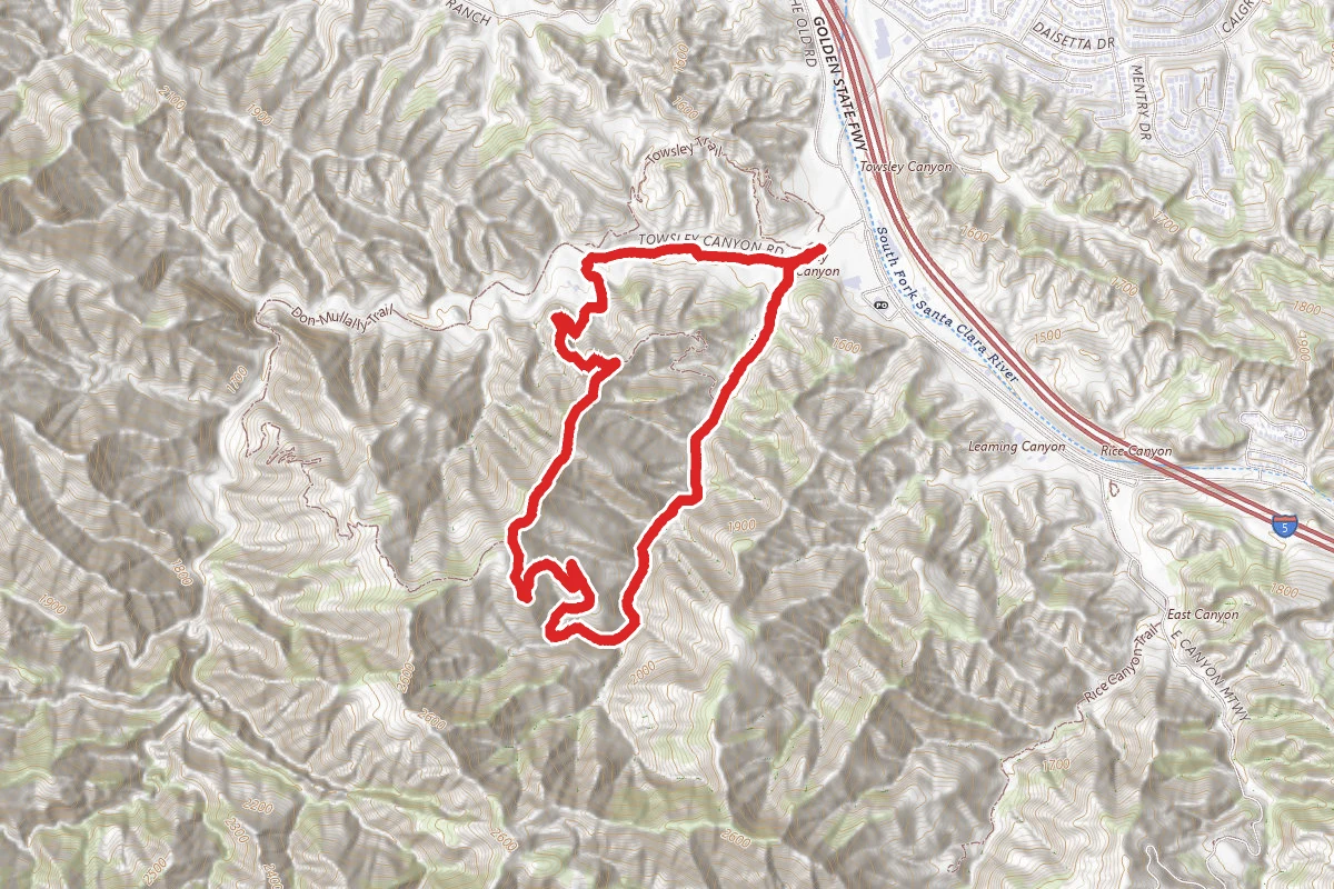 Towsley Alternate Loop