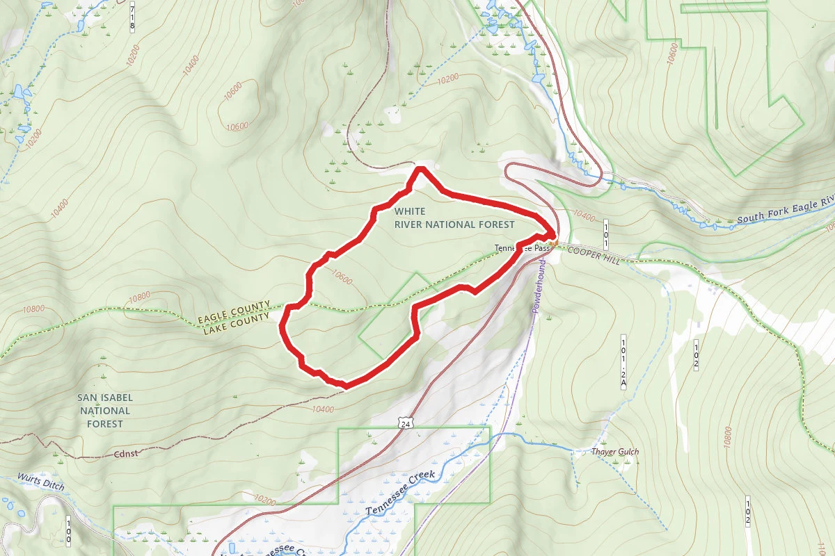 Treeline Loop