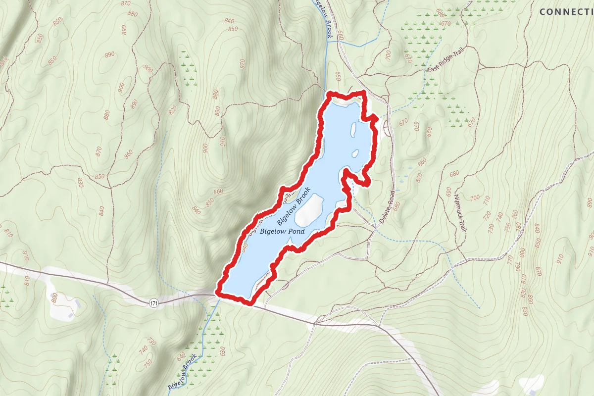 Bigelow Pond Loop