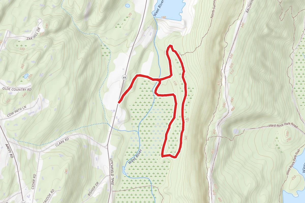 Bishops Loop