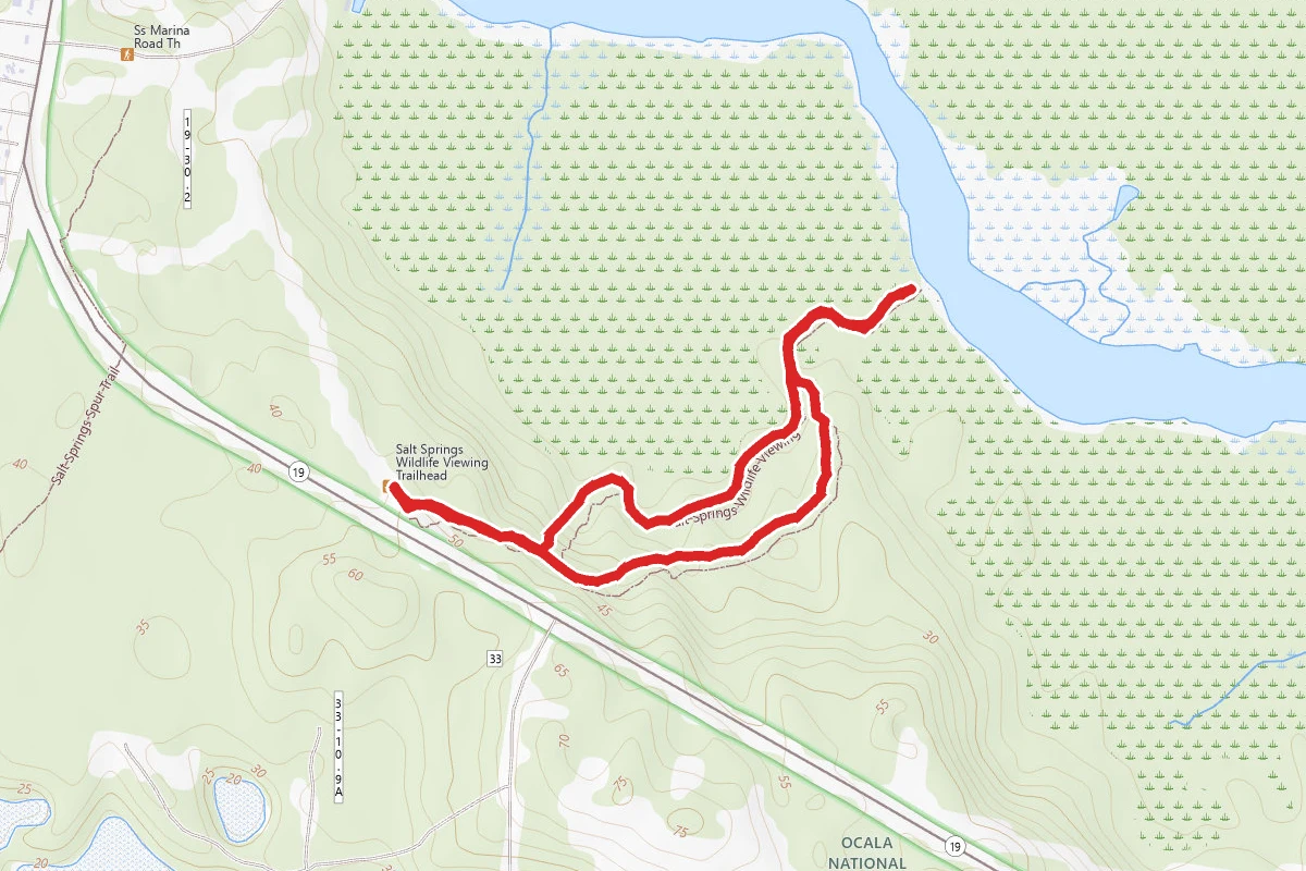 Salt Springs Observation Trail