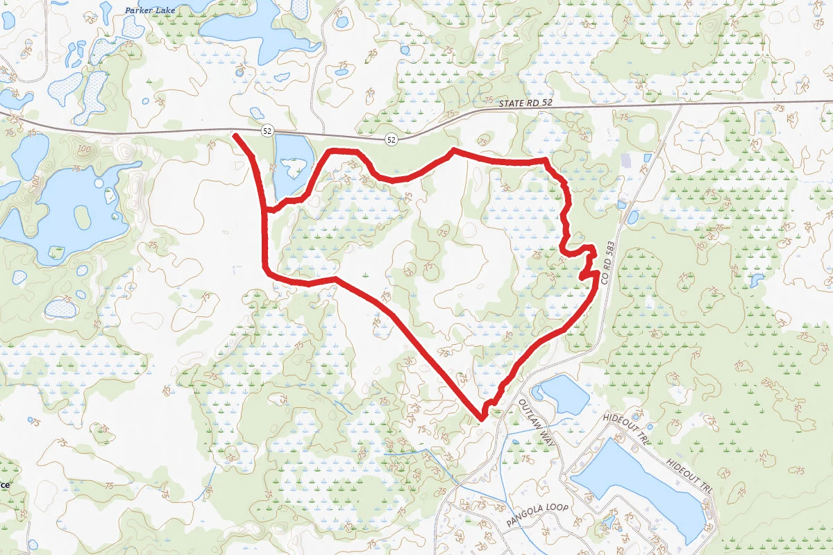 Conner Preserve Eastern Loop